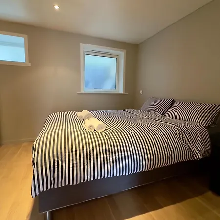 Cozy Nest- Walking Distance To City Center Apartment *